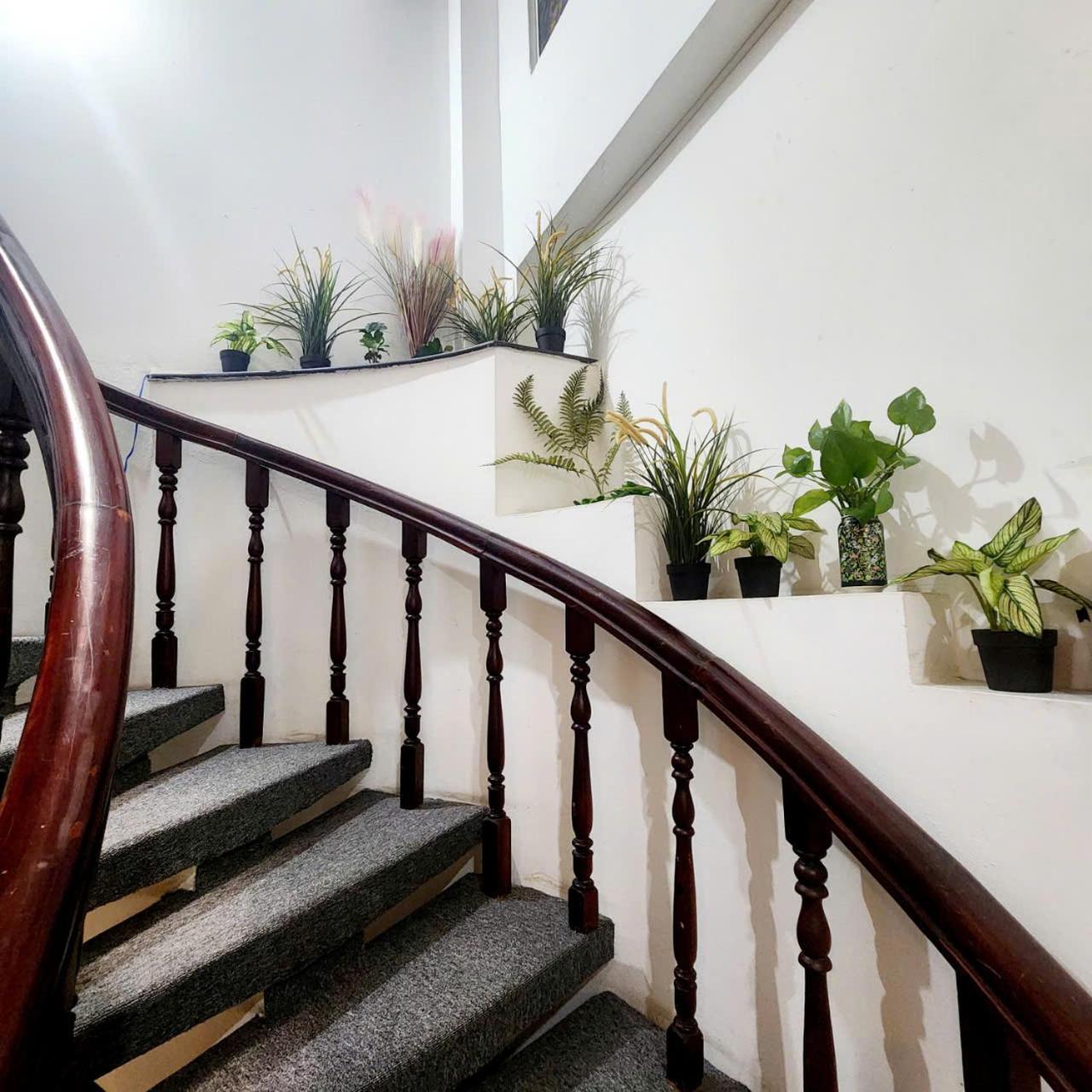 F F House Homestay TP. Hồ Chí Minh Ngoại thất bức ảnh